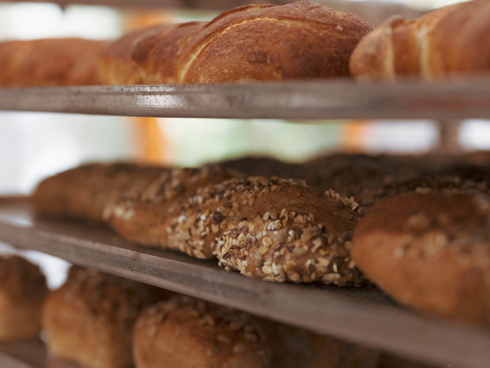 Gebackene Brote liegen auf dem Blech in der Bäckerei.