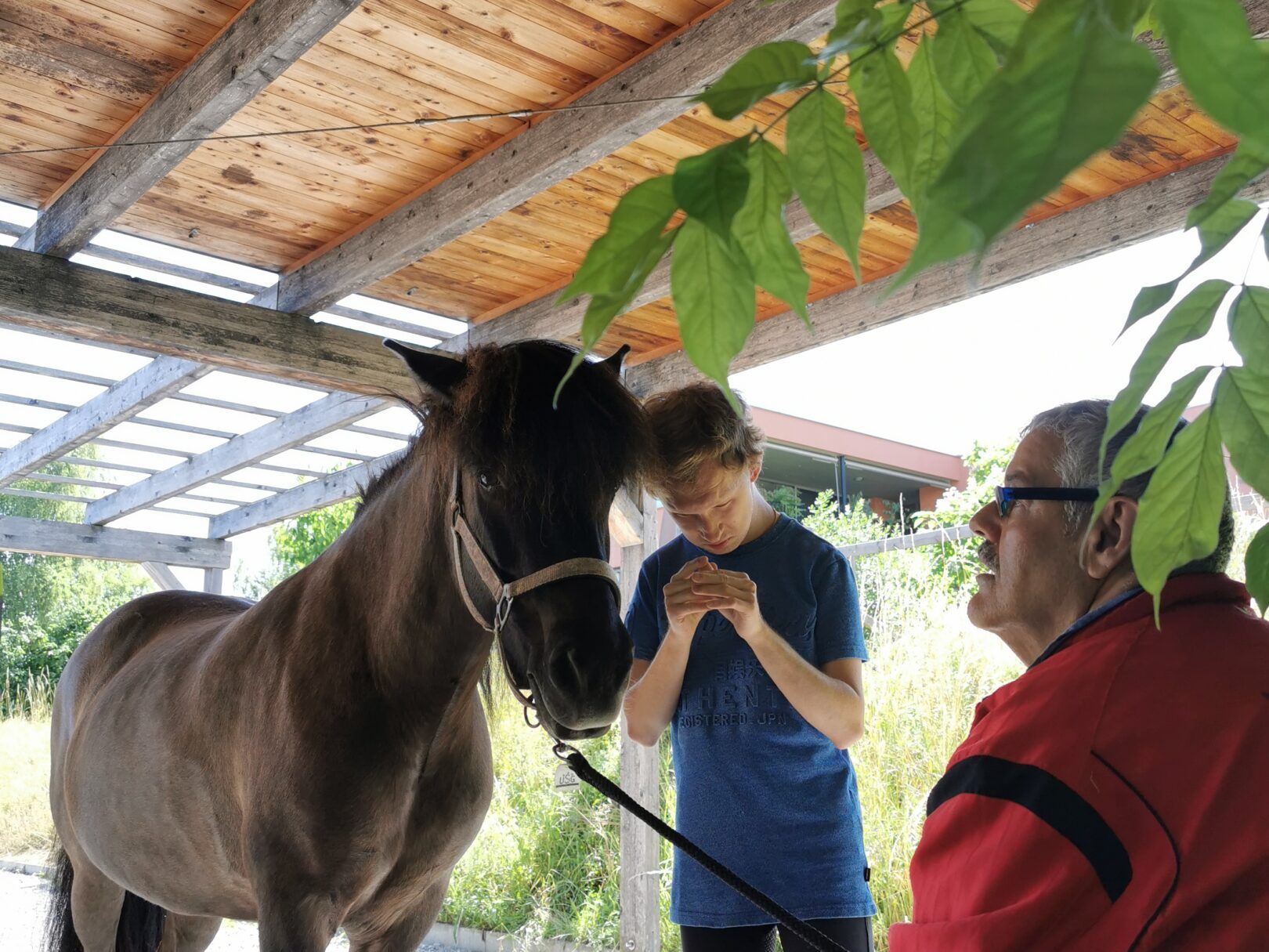 Pferd und 2 Männer
